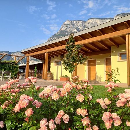 Agriturismo L' Isola Di Arturo ترينتو المظهر الخارجي الصورة