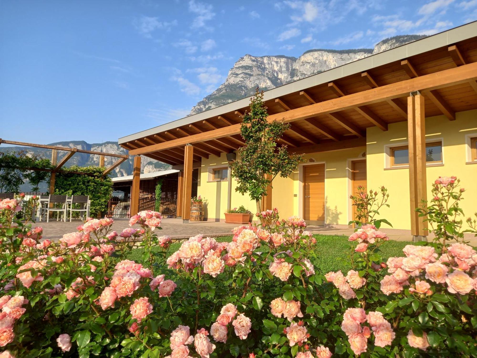 Agriturismo L' Isola Di Arturo ترينتو المظهر الخارجي الصورة